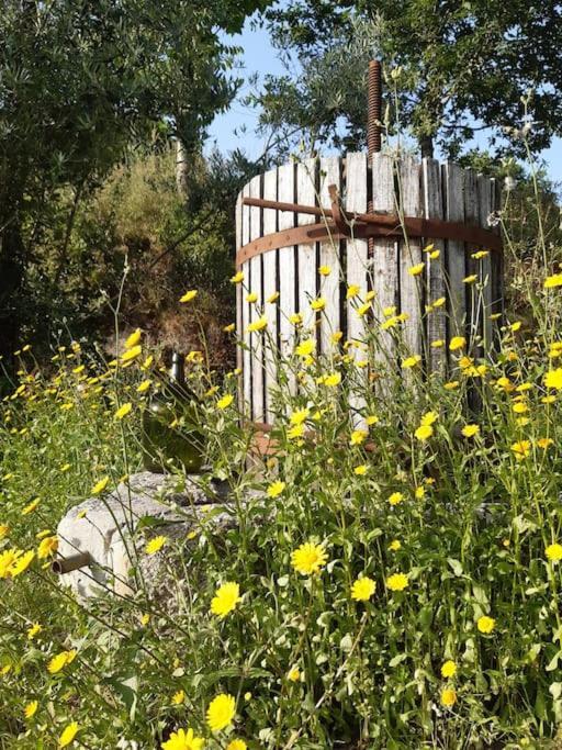 A Casa Com 2 Pereiras Bed & Breakfast Terras de Bouro Dış mekan fotoğraf