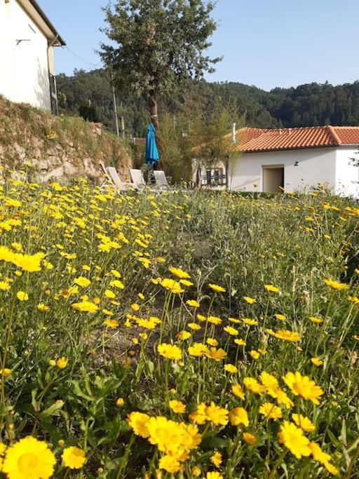 A Casa Com 2 Pereiras Bed & Breakfast Terras de Bouro Dış mekan fotoğraf