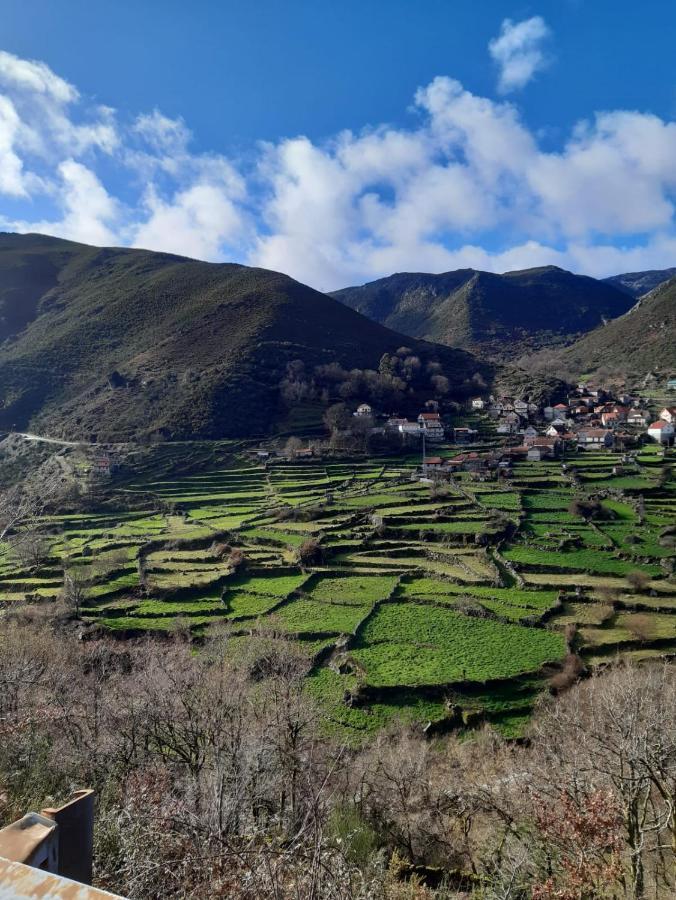 A Casa Com 2 Pereiras Bed & Breakfast Terras de Bouro Dış mekan fotoğraf
