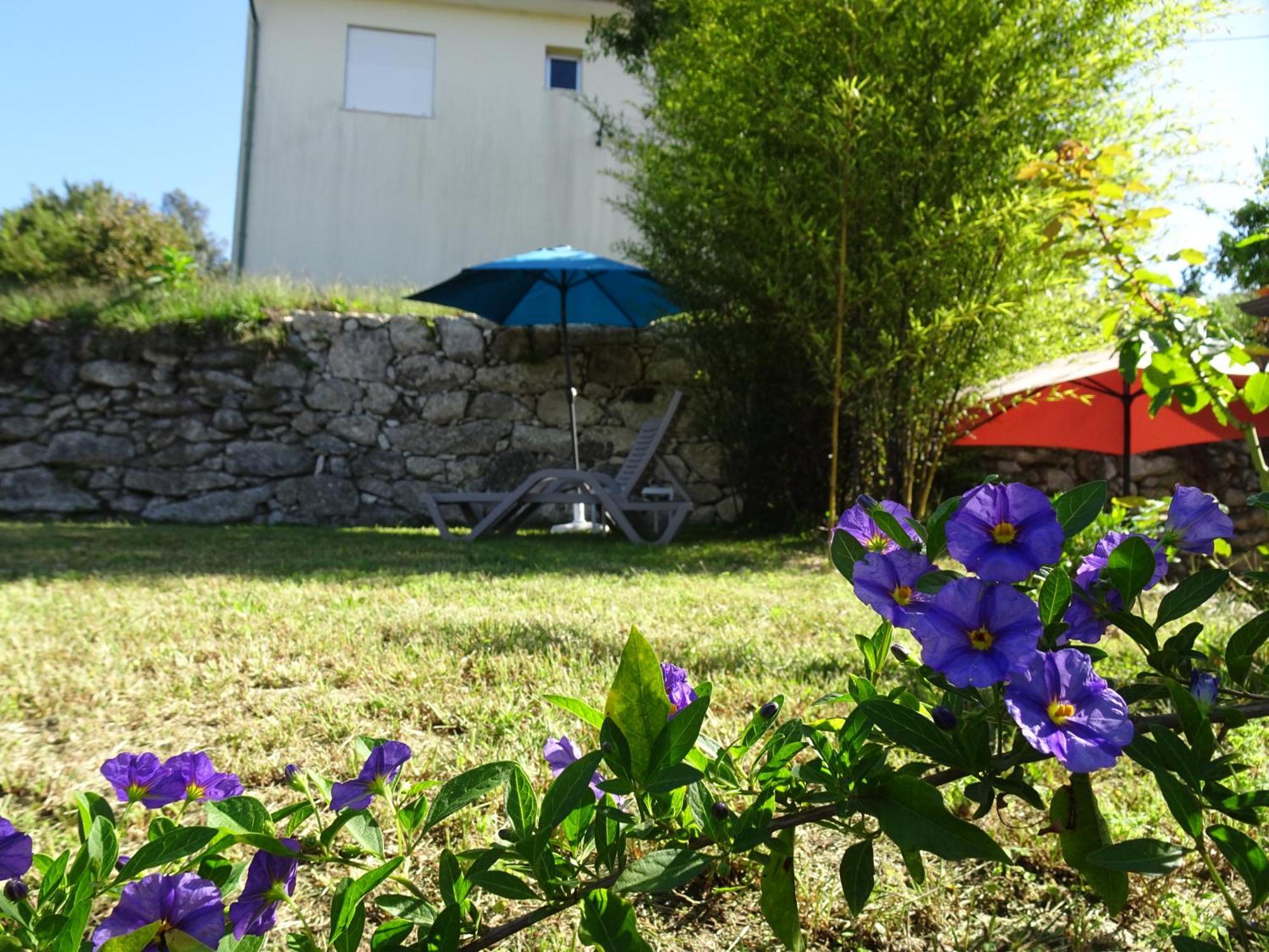 A Casa Com 2 Pereiras Bed & Breakfast Terras de Bouro Dış mekan fotoğraf